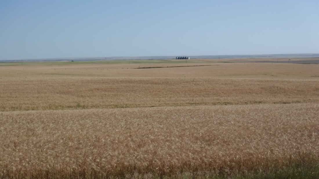 B234CCFC-C106-42BA-AE68-D0F74CF79F4A