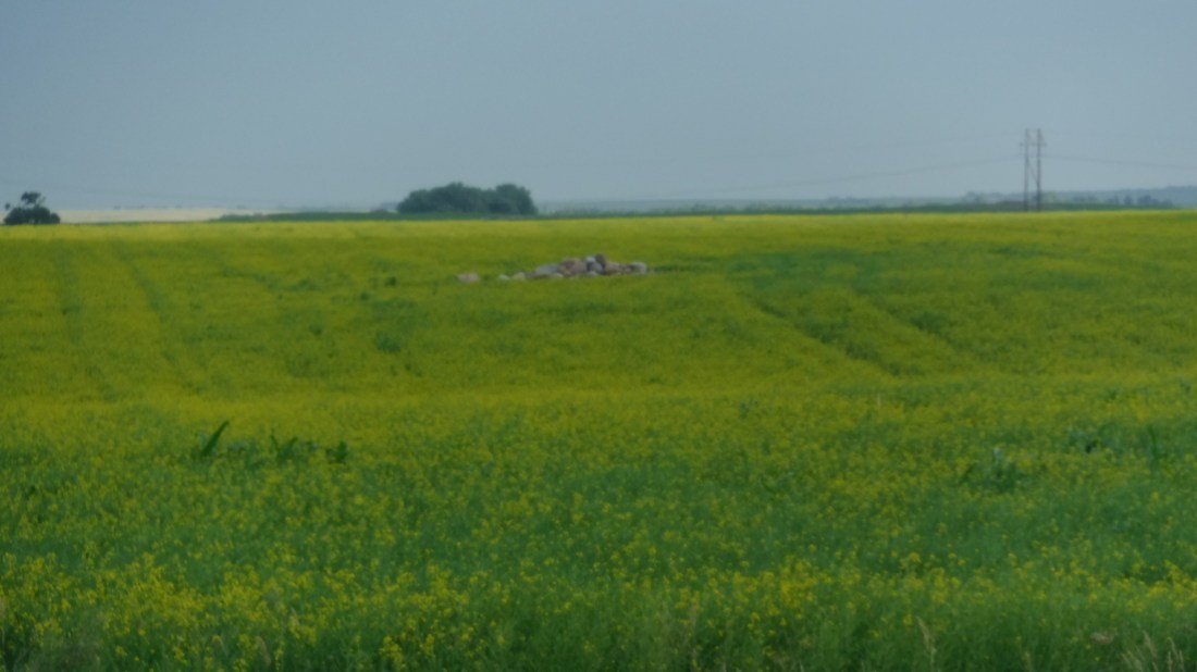 CC4D93C3-87E1-4D97-B6A3-787FF96B33C1