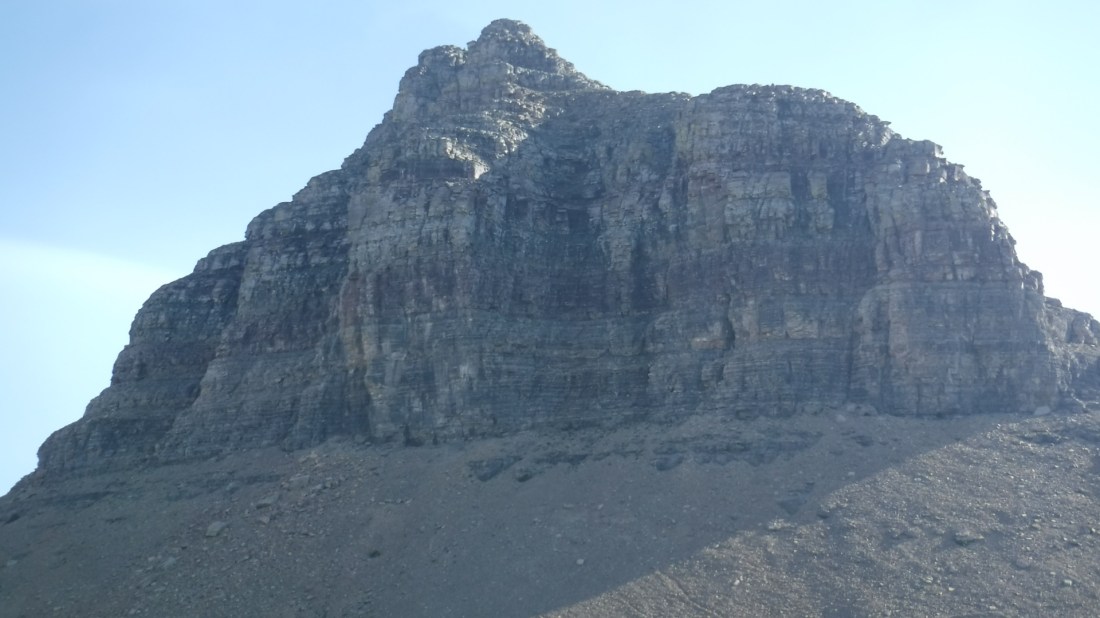 D3286DD4-0070-478C-9A14-E1E6A3527AA8