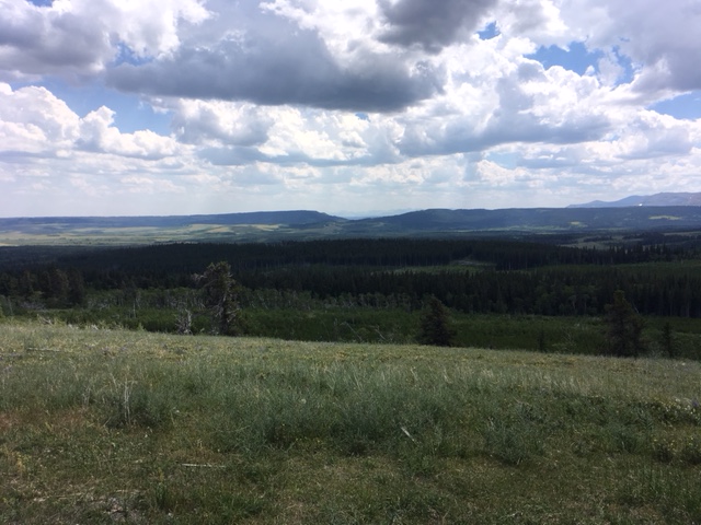 DF31D861-5EBA-4098-9ADA-EE6012A4B244