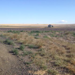 E059D234-7C6E-4313-91FF-E9EBDE70B78B