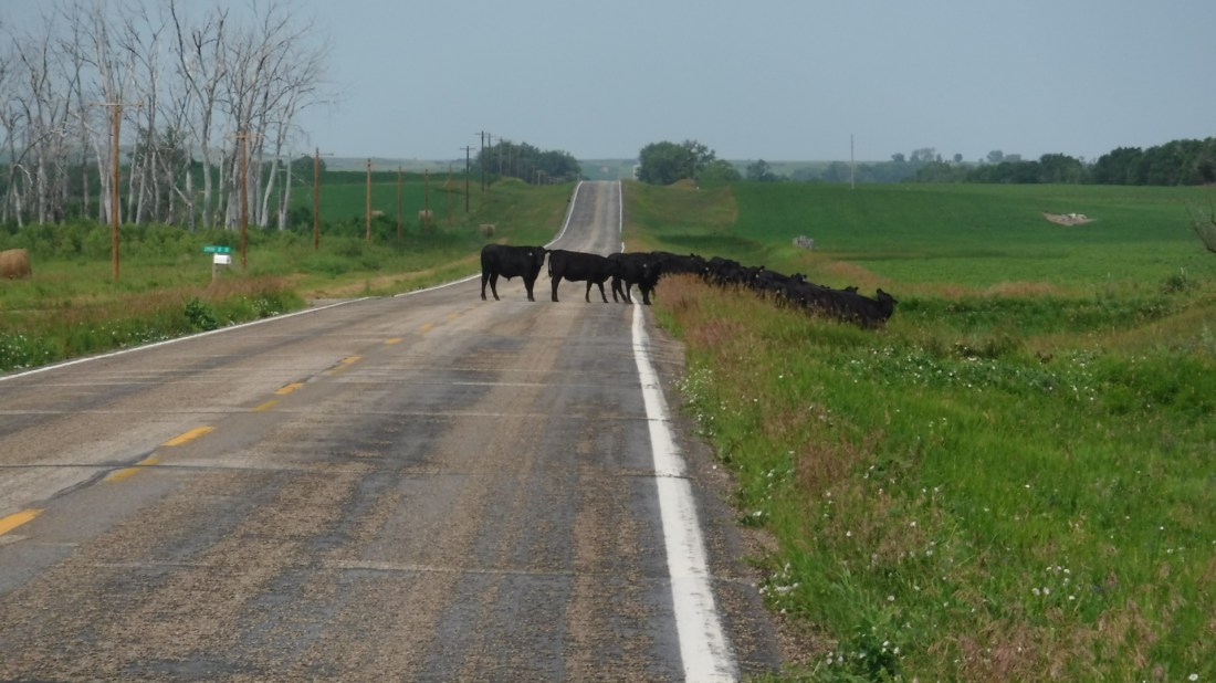 F3708EC8-D34F-41E3-BBB6-4F331AE39018