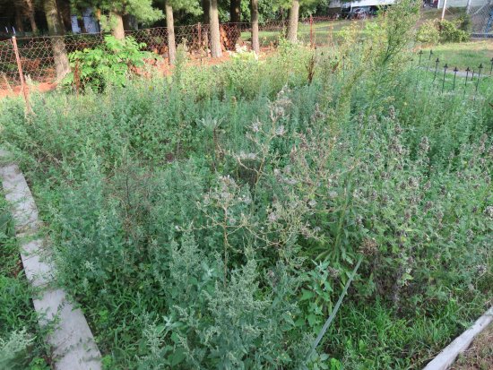 FE15CE20-3C10-44FA-AC64-FF0B8B909233