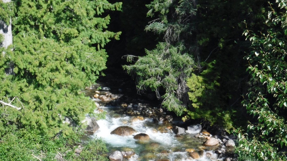 11872ACF-2AB7-40BE-A1D9-65242DFFBCE1