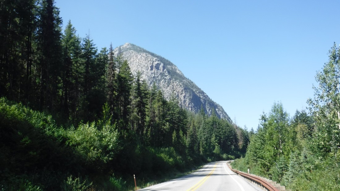 8B0EE982-E5EA-47ED-861C-381913927B54