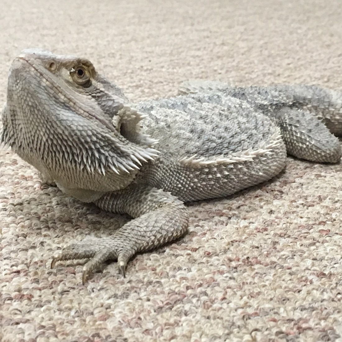 0FABB596-7EA5-4FCF-A793-9A3F9488903F