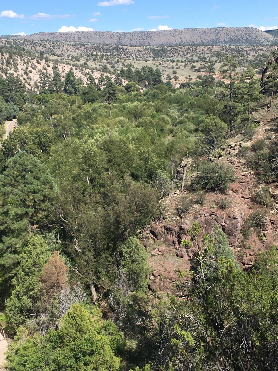 10517FF9-0FCA-416F-BF1D-82D692FB375D