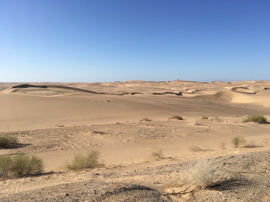 3E11F9D7-960B-4D65-9970-E7A243F0E427