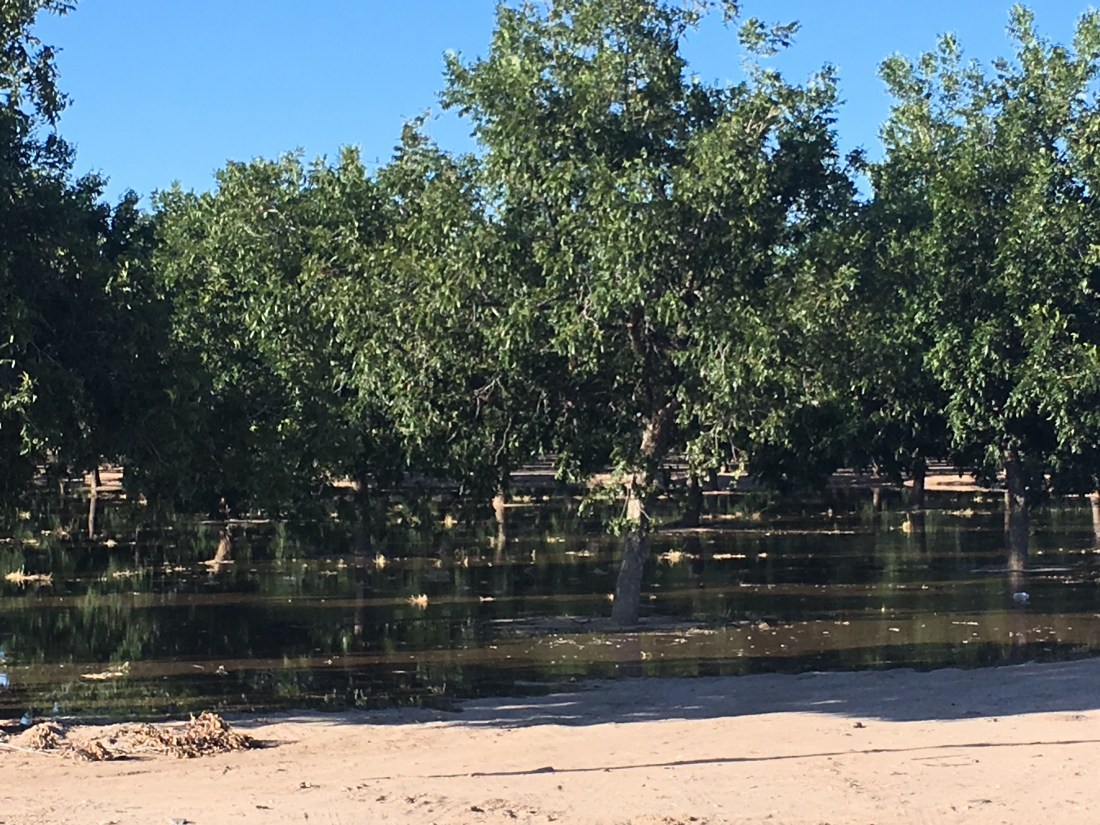 569E5EB1-8CE1-40A4-B0E4-2B98CE69A1B8