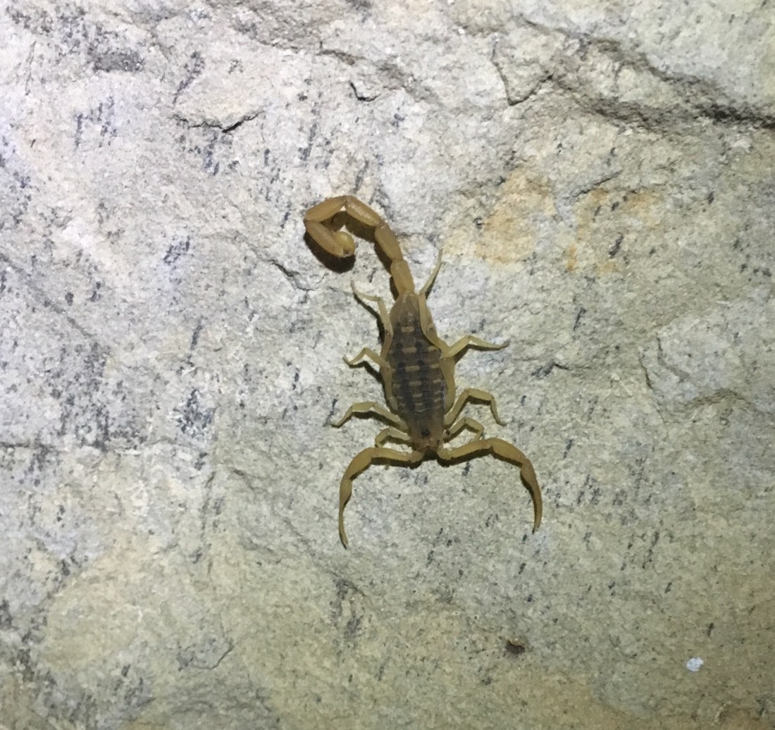 71CD41C9-DAAC-479E-B0D1-8C1789EA8534