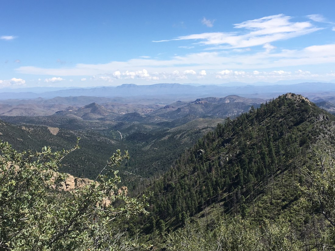 783F2020-5079-43DB-BB32-8B97B00FC38B