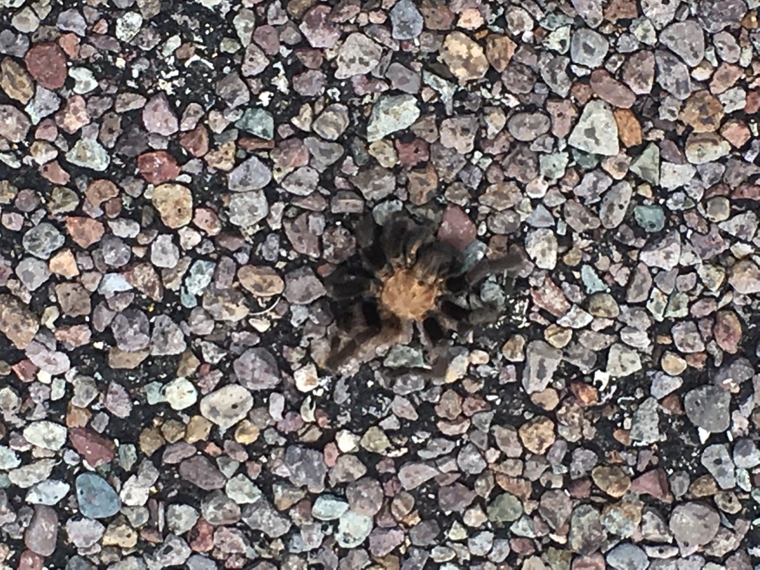 955F925B-E90B-4420-B159-0D275DD8BC74