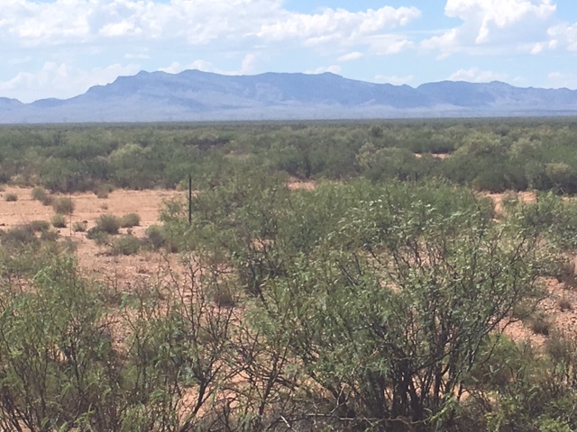 B40C3220-1A17-47D0-AA49-B5B1CC8002B5