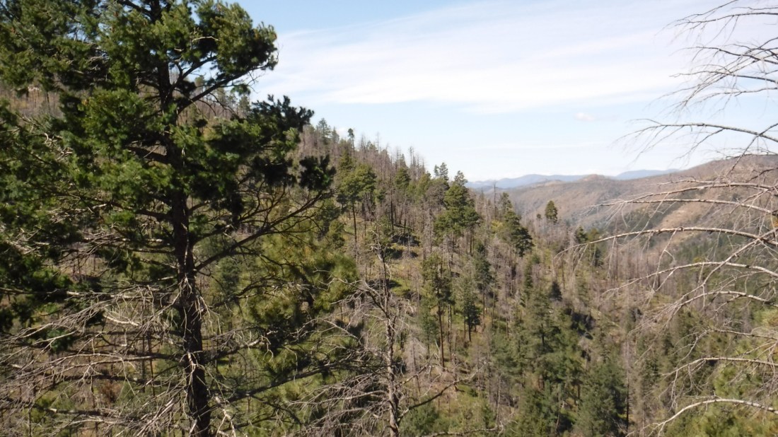 C9879356-0C97-4177-B51F-0023C2006FDD