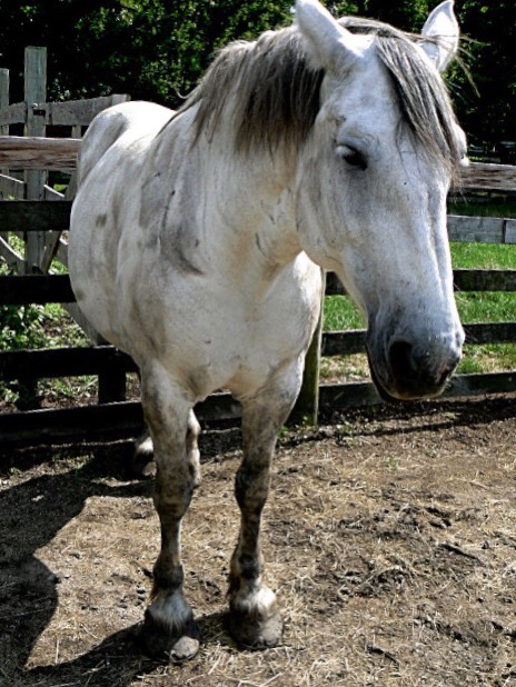 E540E896-4D48-41EE-8E85-A5AF29788446