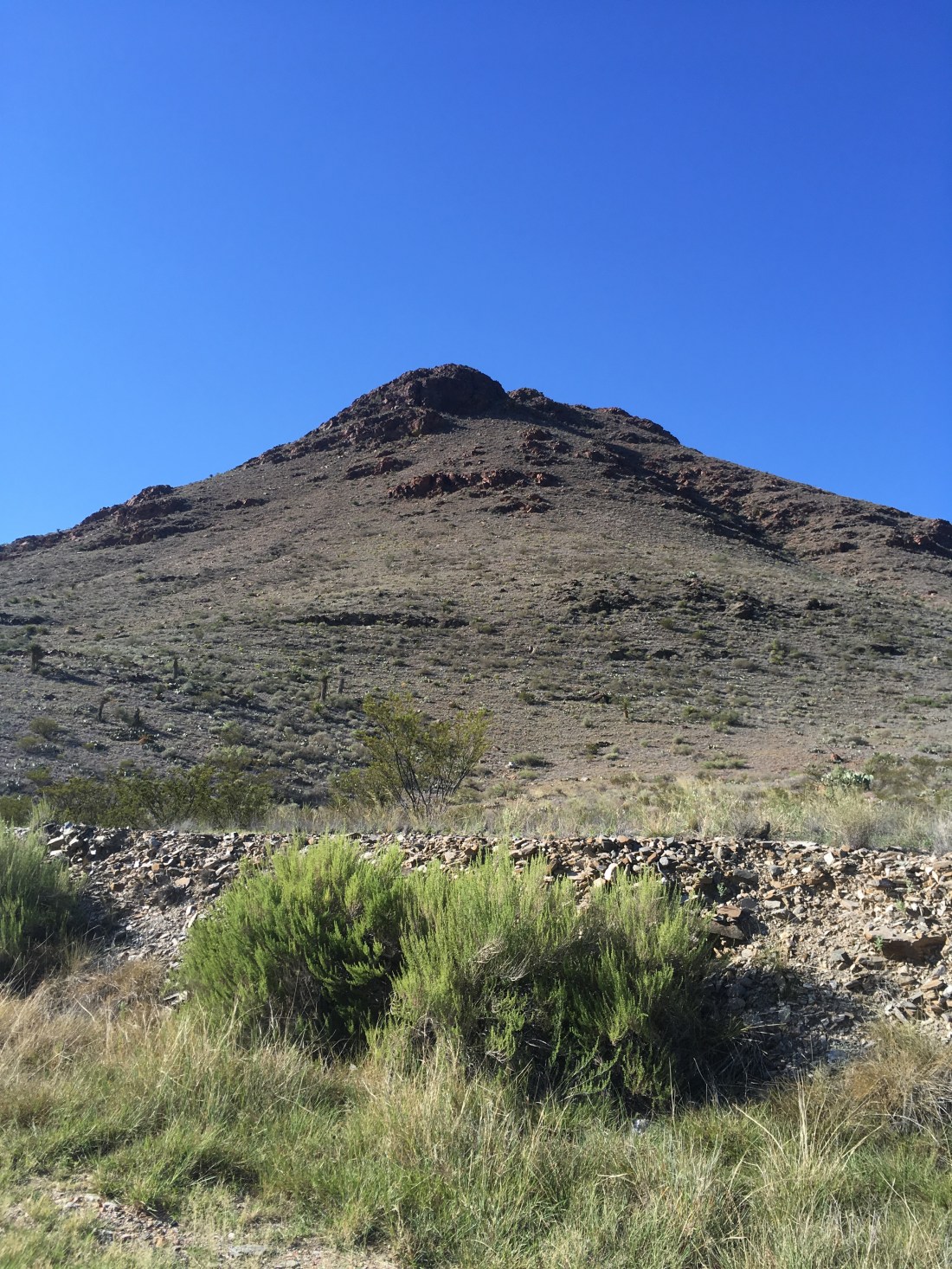 F06A588A-9FA5-477D-8E04-56C11E351868