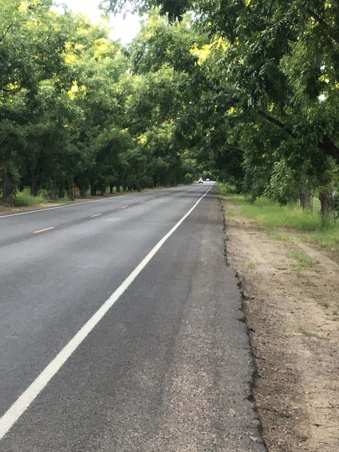 F8DD1C76-7EC2-4285-8FCF-A192FC08EF4C