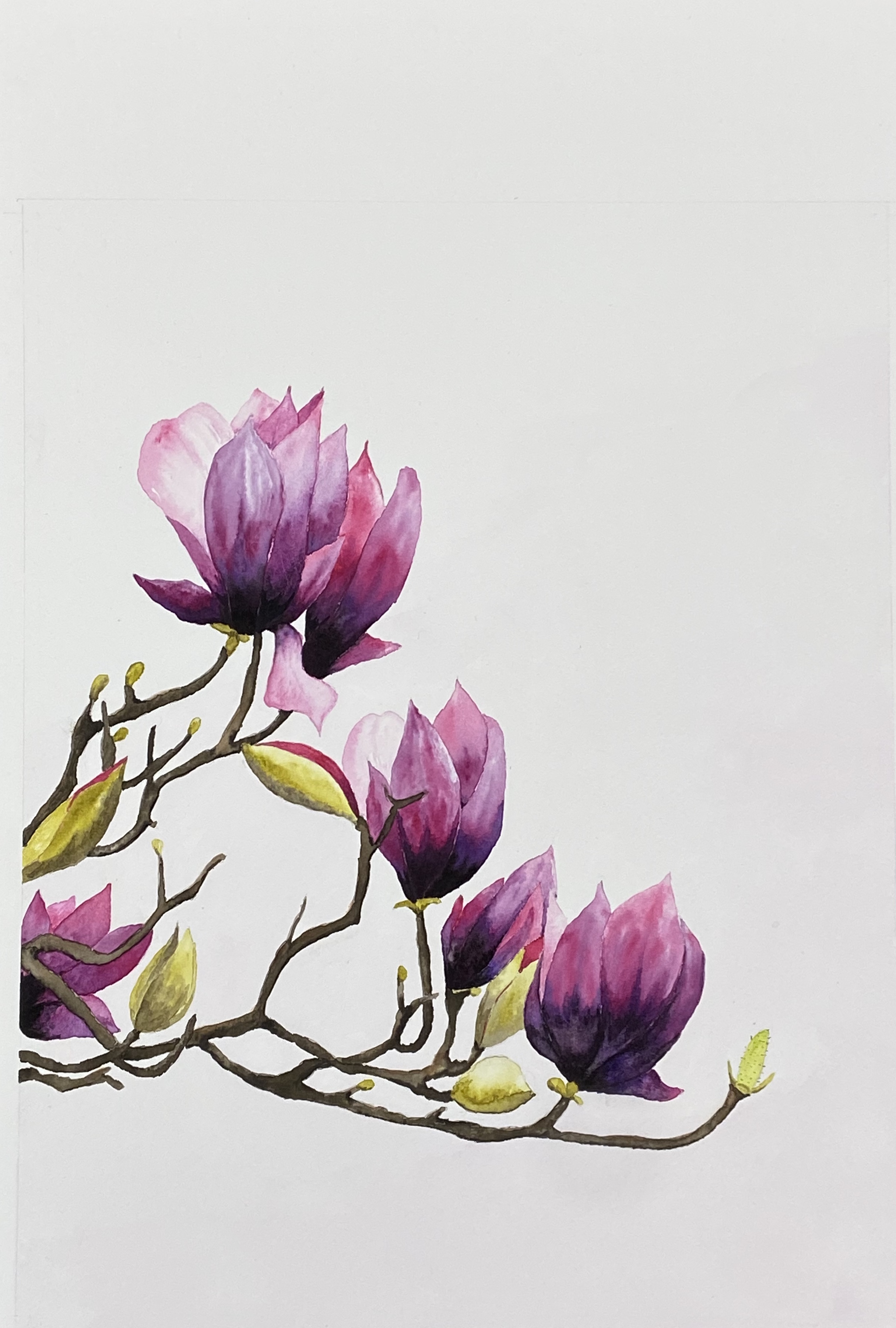 EC15AE9B-32EF-401B-AB4F-B7573662AF01