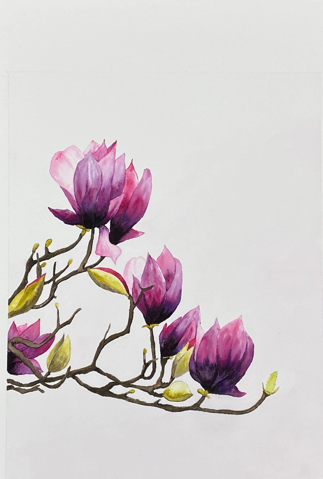 EC15AE9B-32EF-401B-AB4F-B7573662AF01